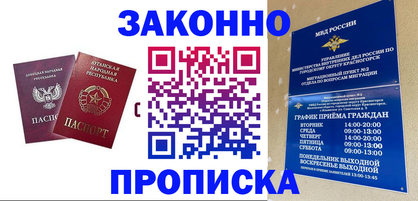 прописка в Дальнегорске